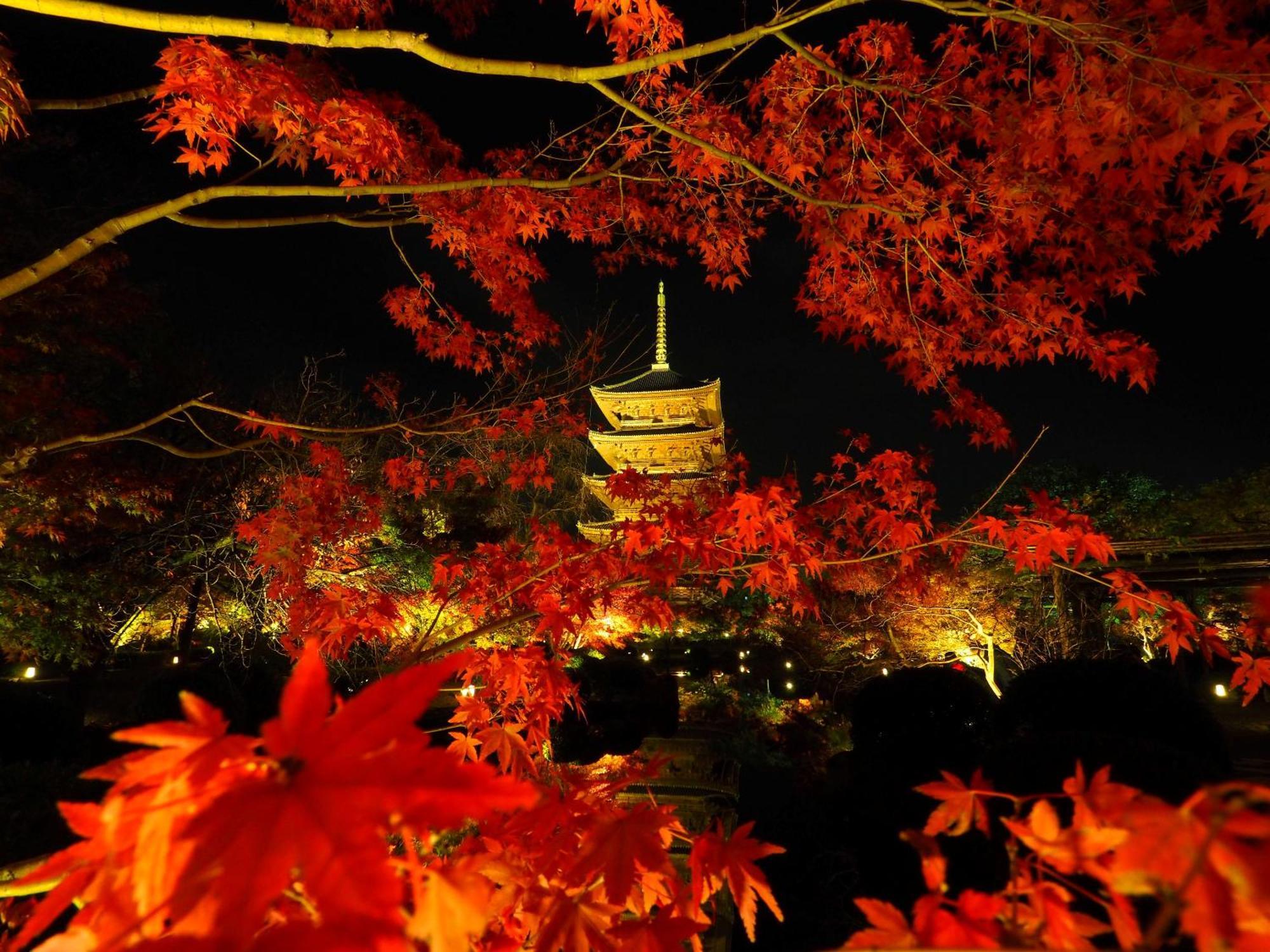 Stay SAKURA Kyoto Higashi Hongan-ji I Eksteriør billede