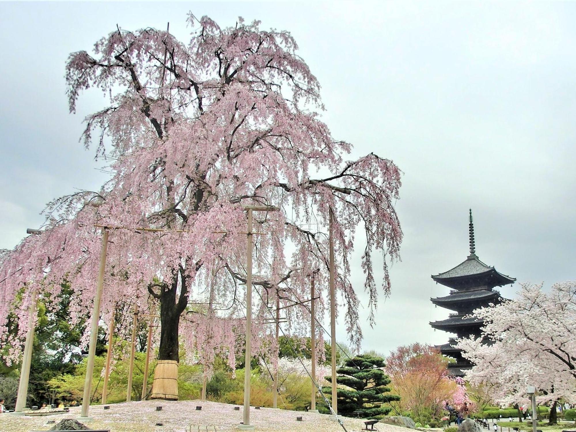 Stay SAKURA Kyoto Higashi Hongan-ji I Eksteriør billede