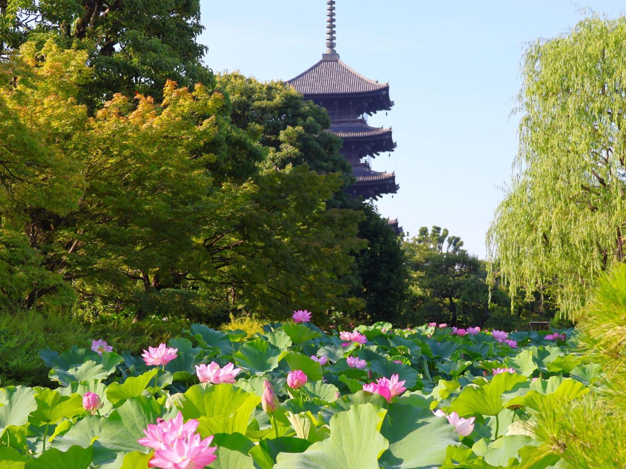 Stay SAKURA Kyoto Higashi Hongan-ji I Eksteriør billede