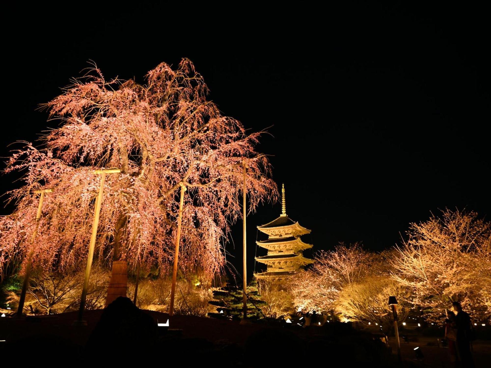 Stay SAKURA Kyoto Higashi Hongan-ji I Eksteriør billede