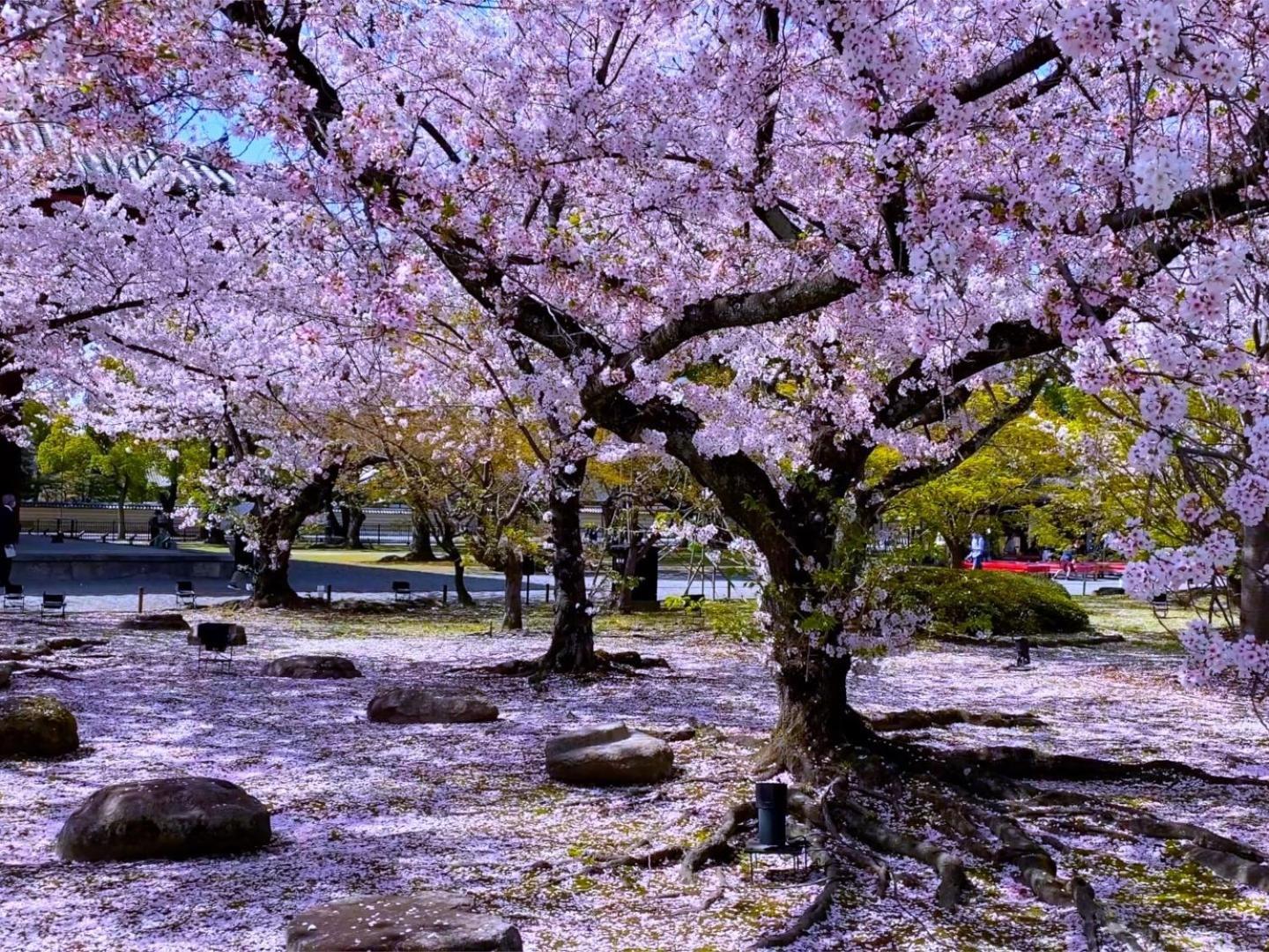 Stay SAKURA Kyoto Higashi Hongan-ji I Eksteriør billede